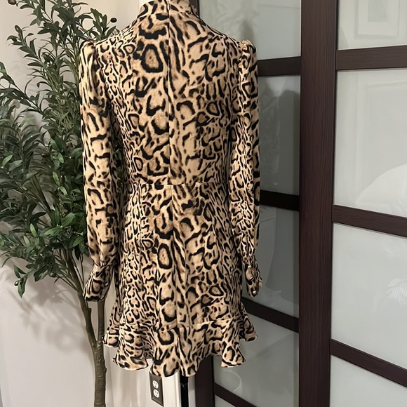 Express Leopard Dress - Picture 4 of 5